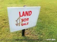 أرض سكنية بمساحة واسعة وإطلالة مميزة في البطين