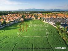 ارض باطلالة مباشره علي البحر في جزيرة الناريل